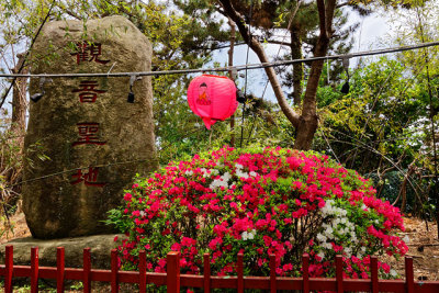 Haedong Yonggungsa Temple