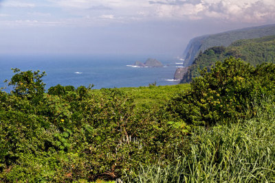 From Pololu Valley Lookout