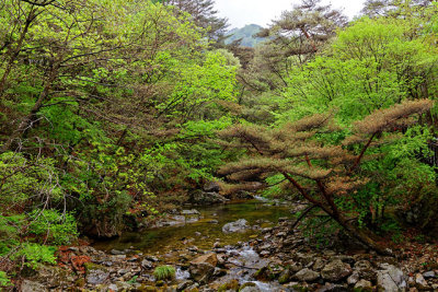 Along the path to Guryongsa Temple, in Chiaksan National Park