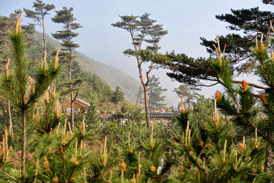Naksansa Temple