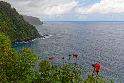 On the road to Hana