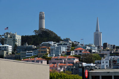 Coit Tower and Transamerica Pyramid towering over the City