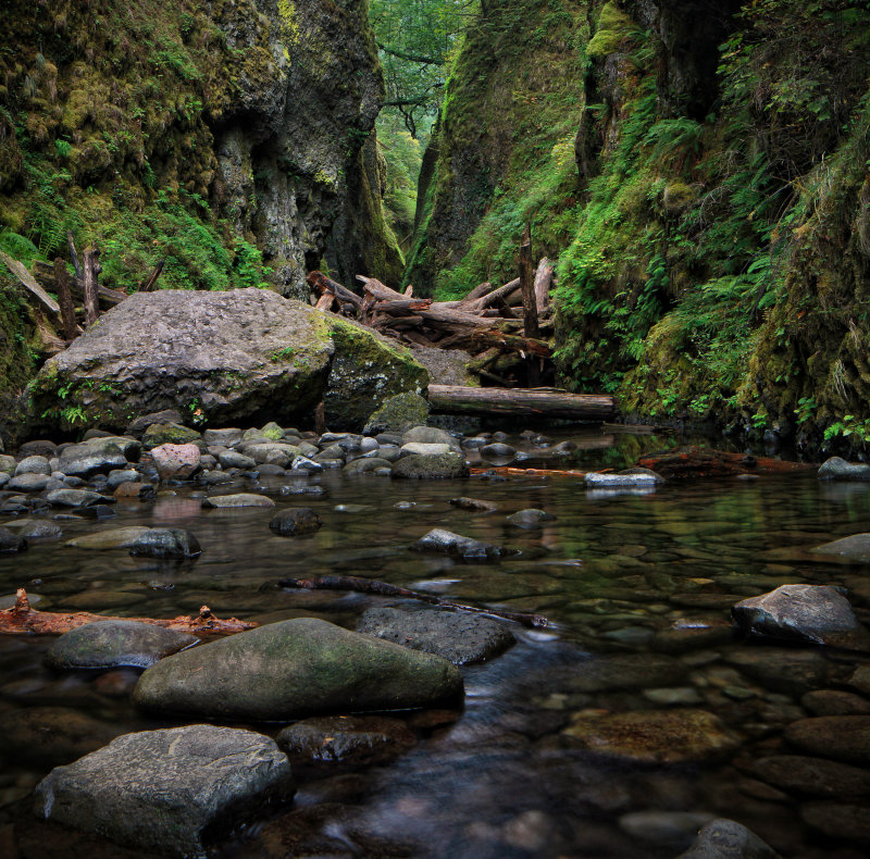 Oneonta Log Jam.jpg