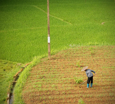Sapa 20.jpg