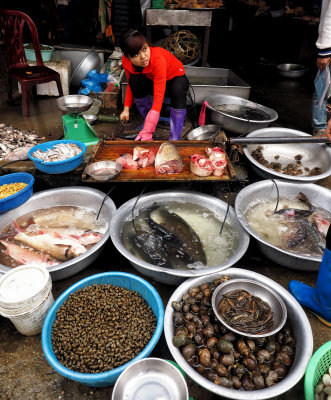 Wet Markets