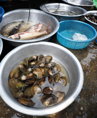 Wet Market 20.jpg