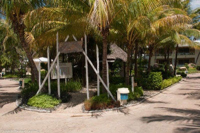 Htel Paradisius   Cuba  Varadero