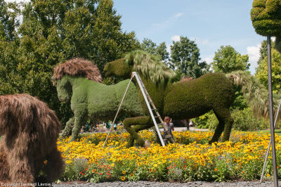 Mosacultures Internationales 2013 - Jardin Botanique de Montral