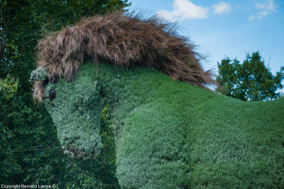 Mosacultures Internationales 2013 - Jardin Botanique de Montral