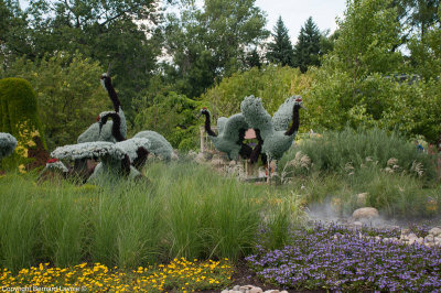 Mosacultures Internationales 2013 - Jardin Botanique de Montral