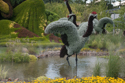 Mosacultures Internationales 2013 - Jardin Botanique de Montral