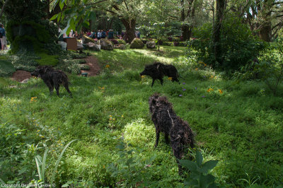 Mosacultures Internationales 2013 - Jardin Botanique de Montral