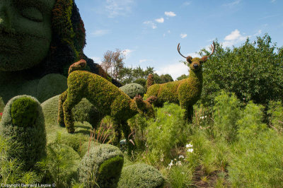 Mosacultures Internationales 2013 - Jardin Botanique de Montral