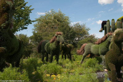 Mosacultures Internationales 2013 - Jardin Botanique de Montral