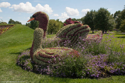 Mosacultures Internationales 2013 - Jardin Botanique de Montral