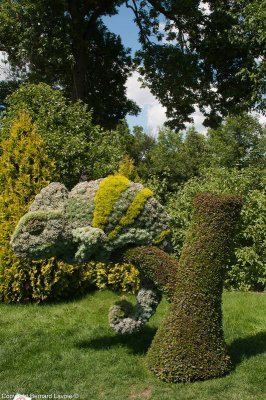 Mosacultures Internationales 2013 - Jardin Botanique de Montral