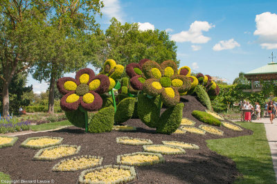 Mosacultures Internationales 2013 - Jardin Botanique de Montral