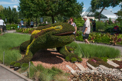 Mosacultures Internationales 2013 - Jardin Botanique de Montral