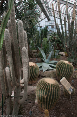 Mosacultures Internationales 2013 - Jardin Botanique de Montral