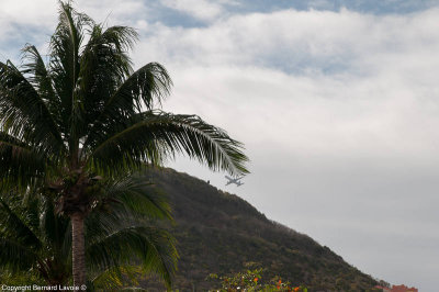 Saint Martin - Sint Maarten