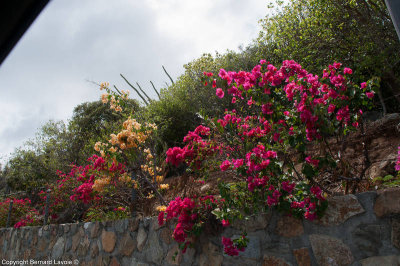 Saint Martin - Sint Maarten