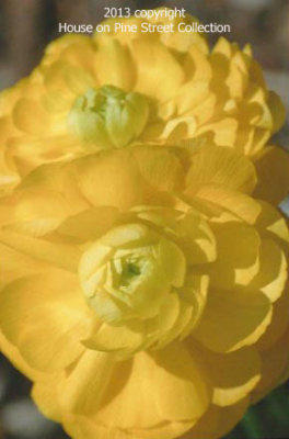 g9/52/946452/3/150230860.nti6xKNX.jpg