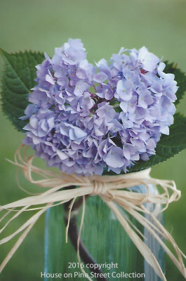 Heartfelt - Hydrangea.jpg