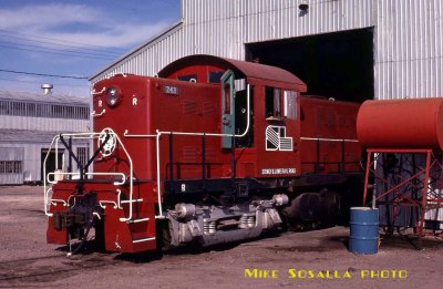 Sidney Lowe RS-1 243
