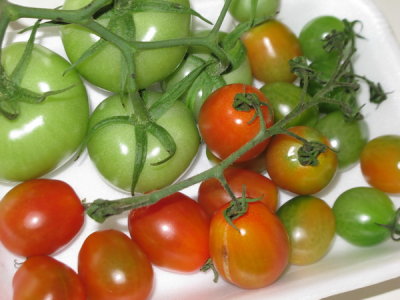 AIMG_5576.jpg