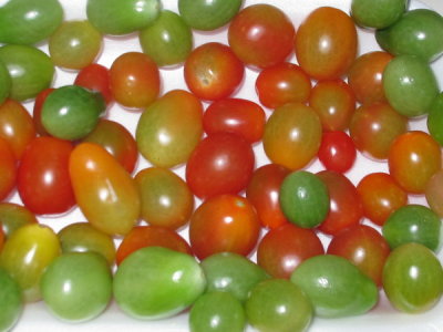 AIMG_5596.jpg