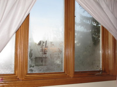 AIMG_5597.jpg