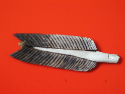 AIMG_6335.jpg