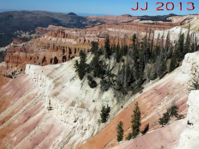AIMG_0031.jpg