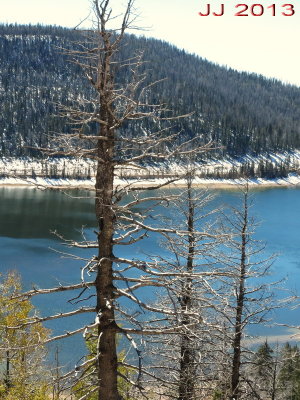 AIMG_0042.jpg