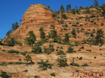 AIMG_0060.jpg