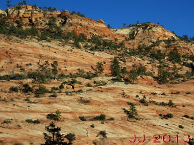 AIMG_0062.jpg