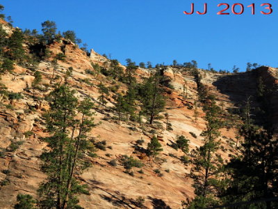 AIMG_0063.jpg