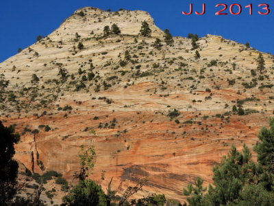 AIMG_0066.jpg