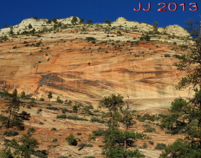 AIMG_0067.jpg