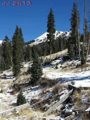 AIMG_0106.jpg