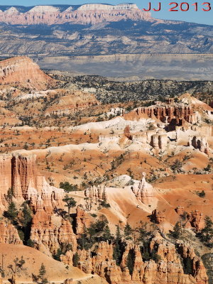 AIMG_0133.jpg