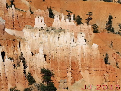 AIMG_0135.jpg