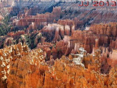 AIMG_0137.jpg