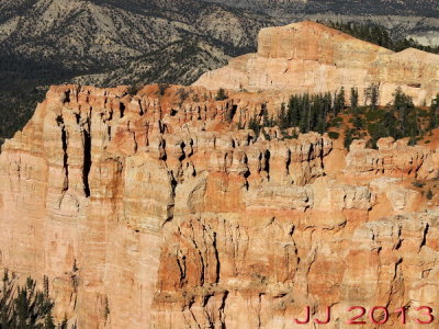 AIMG_0157.jpg