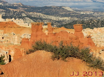 AIMG_0175.jpg