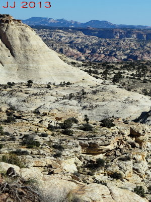 AIMG_0195.jpg