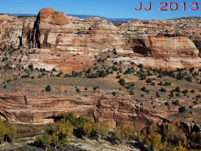 AIMG_0202.jpg