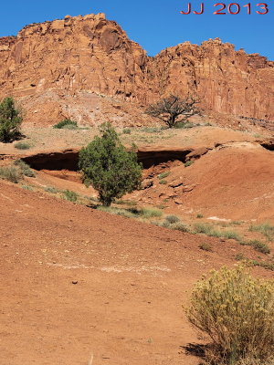 AIMG_0230.jpg