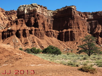 AIMG_0231.jpg