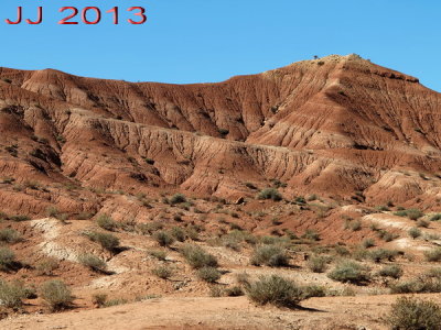AIMG_0248.jpg
